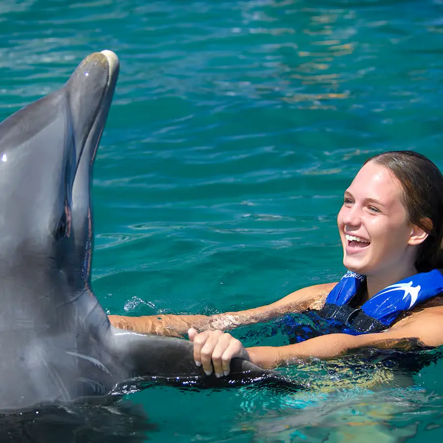 Dolphin Encounter