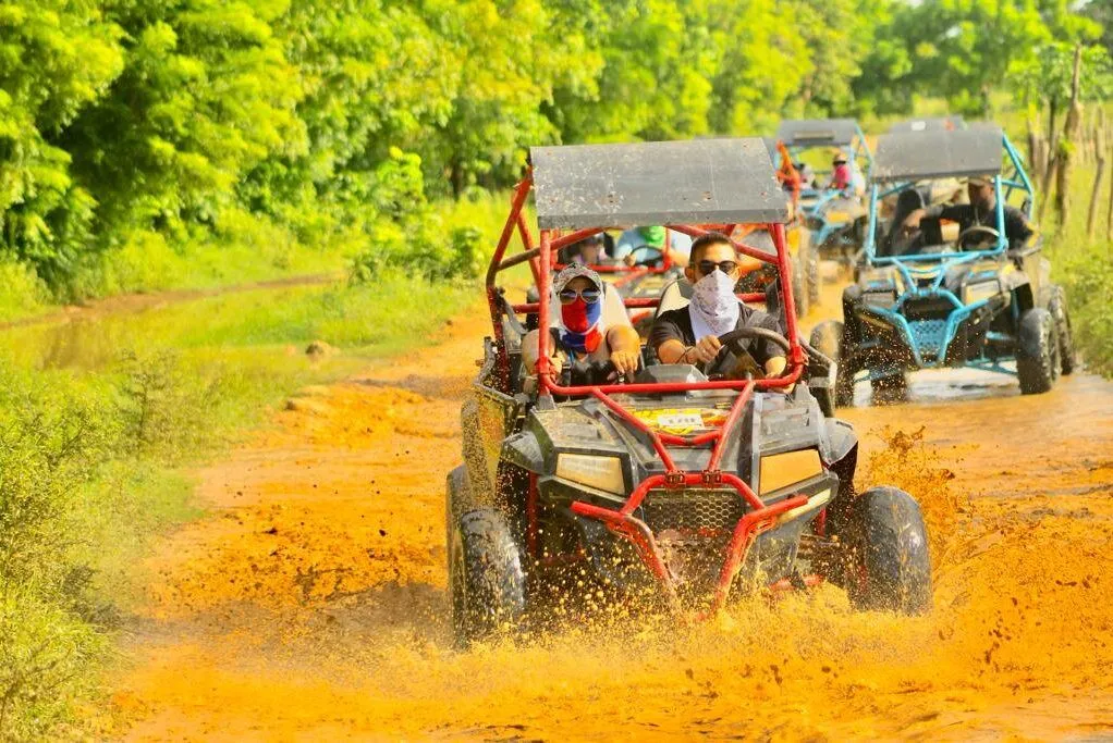 Jungle Buggies & Macao